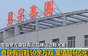 国内最大假冒运动鞋案告破