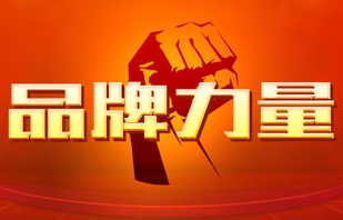 让“中国制造”成为最响亮的“中国品牌”